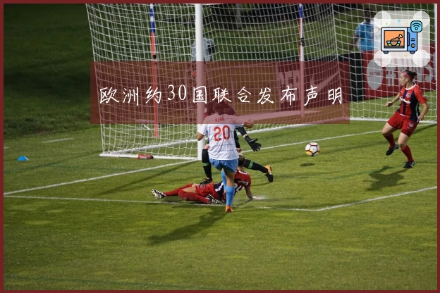 欧洲约30国联合发布声明