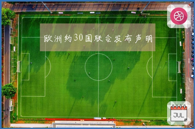 欧洲约30国联合发布声明